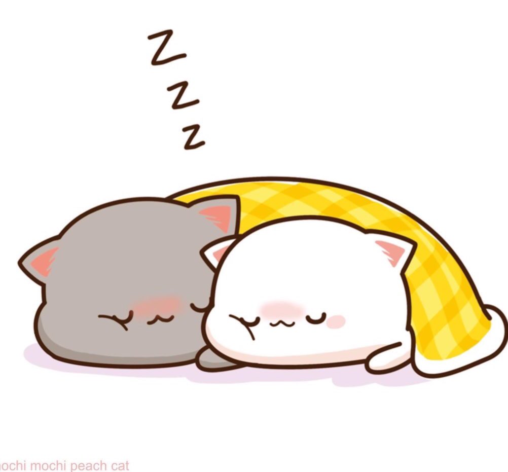 Кавайные котики любовь