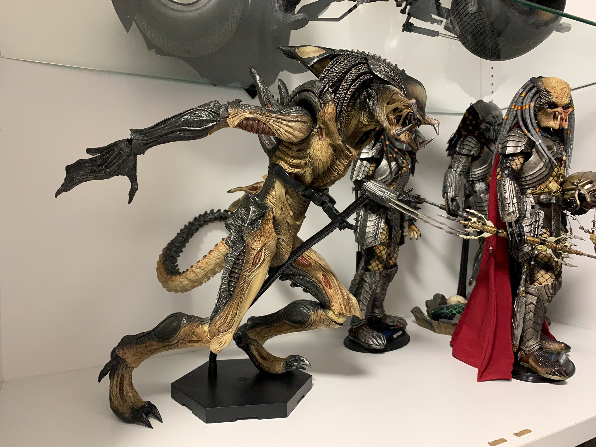 ぽƕⳣﾞ （ Д ） ﾟ ﾟ on X: 