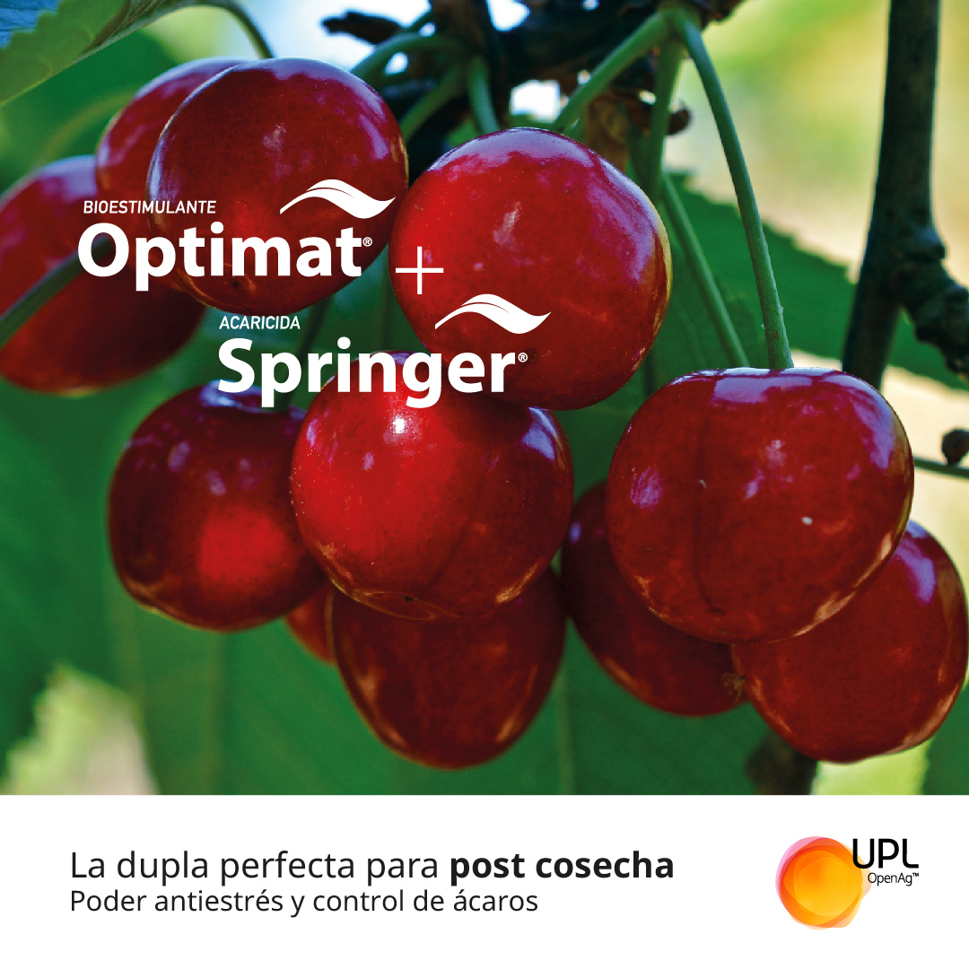 uplagro_chile's tweet photo. Protege tus cerezos con Optimat® y Springer® de UPL. 🍒🙌
¡Mayor calidad y rendimiento de tu cultivo!
Conoce más sobre UPL en 👉 https://t.co/IwG2MOS8Y2
#SolucionesUPL #Optimat #Springer #Bioestimulante #Acaricida #Cerezos #UPLChile https://t.co/0RotrWyhWl