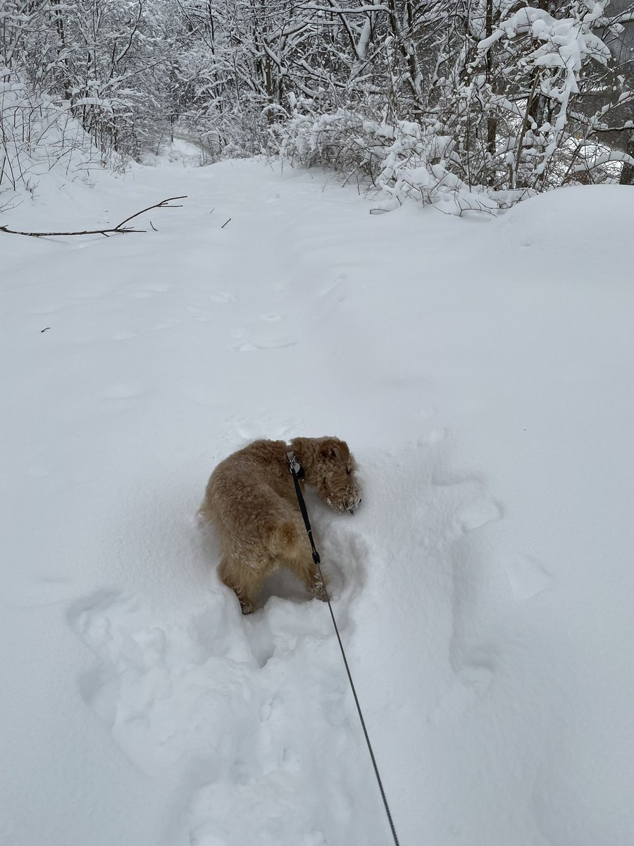 This snow is pretty deep!