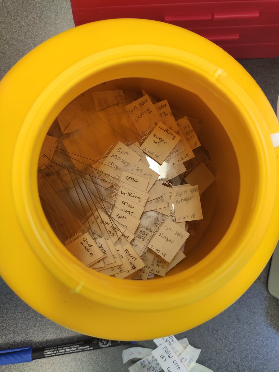 CoralieBoulet1's tweet photo. Just Marie Kondo-ed the hell out of my slides ! From 13 boxes, I'm down to 9.
If it doesn't spark joy, cull it!
#LabCleaning #MarieKondo @lab_carvalho https://t.co/YT239shhlk