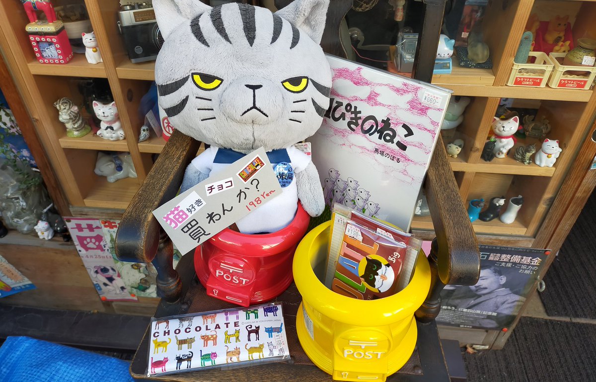 顔キツくて口ベタなのでプラカード持たせました 猫好きチョコ買わんか いずれにしてもつっけんどん バレンタイン バレンタ 21 02 03 神楽坂ねこの郵便局というなまえのお店 顔キツくて口ベタなのでプラカード持たせました 猫好きチョコ買わんか いずれにしてもつっけんどん バレンタイン バレンタ 21 02 03 神楽坂ねこの郵便局というなまえのお店