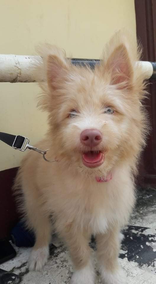 execiantea's tweet image. Sophie💞