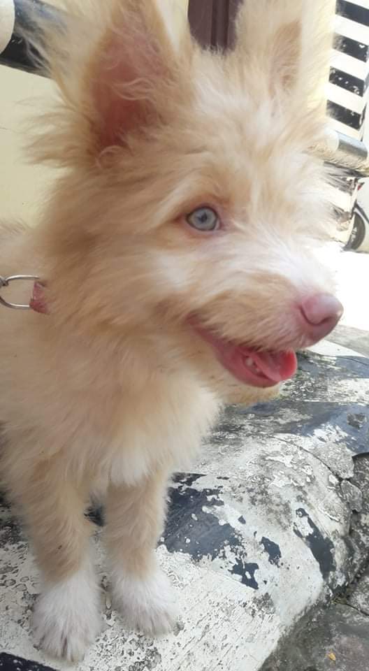 execiantea's tweet image. Sophie💞