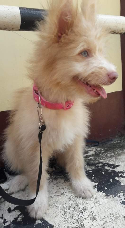 execiantea's tweet image. Sophie💞