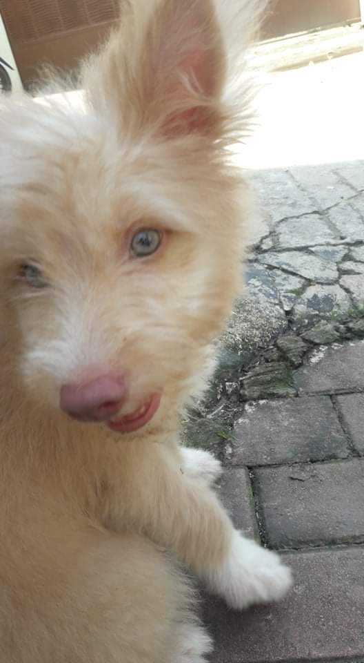 execiantea's tweet image. Sophie💞