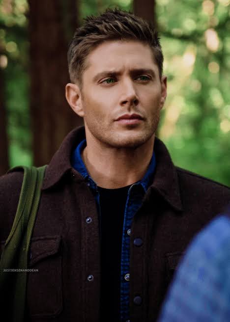 Dean Winchester as a German Shepherd