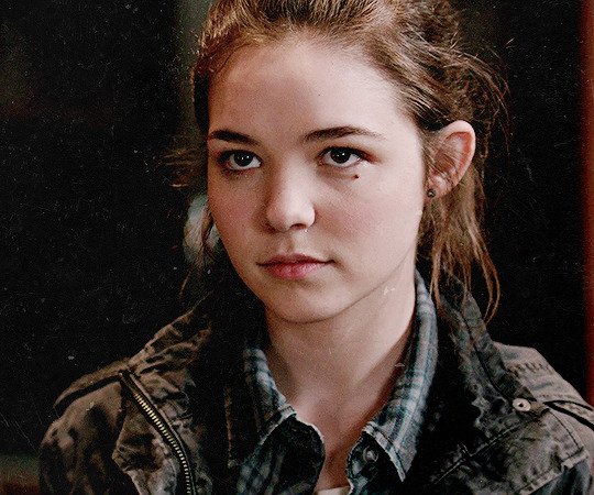 Krissy Chambers as a Border Collie