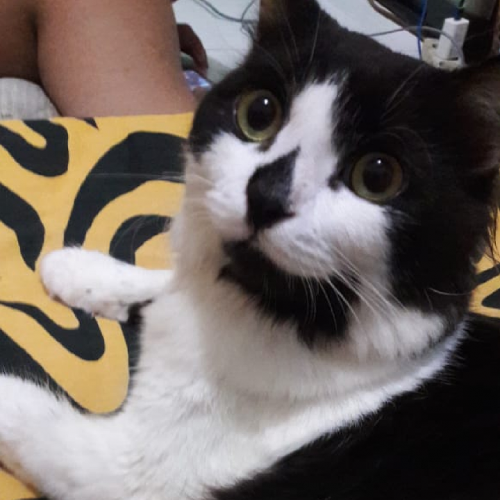 ayo pergi bersamaku > velline chu on #BIGOLIVE bigo.tv/sid/2108023980…