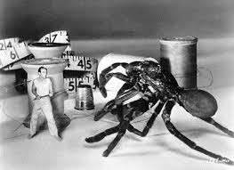 merlinpapin3's tweet photo. Année 1957, l’années des grandes espérances, Voici mon #Top30 des #FilmsAnnée1957
28 - #LHommequiRetrecit de #JackArnold avec #RandyStuart #AprilHyde #PaulLangton #WilliamSchaellert #RaymonBailley #BillieCurtis #DianaDarrin
@Jouxplane83 @FredOL69007 @tbarnaud https://t.co/ZgzPt1WdOJ