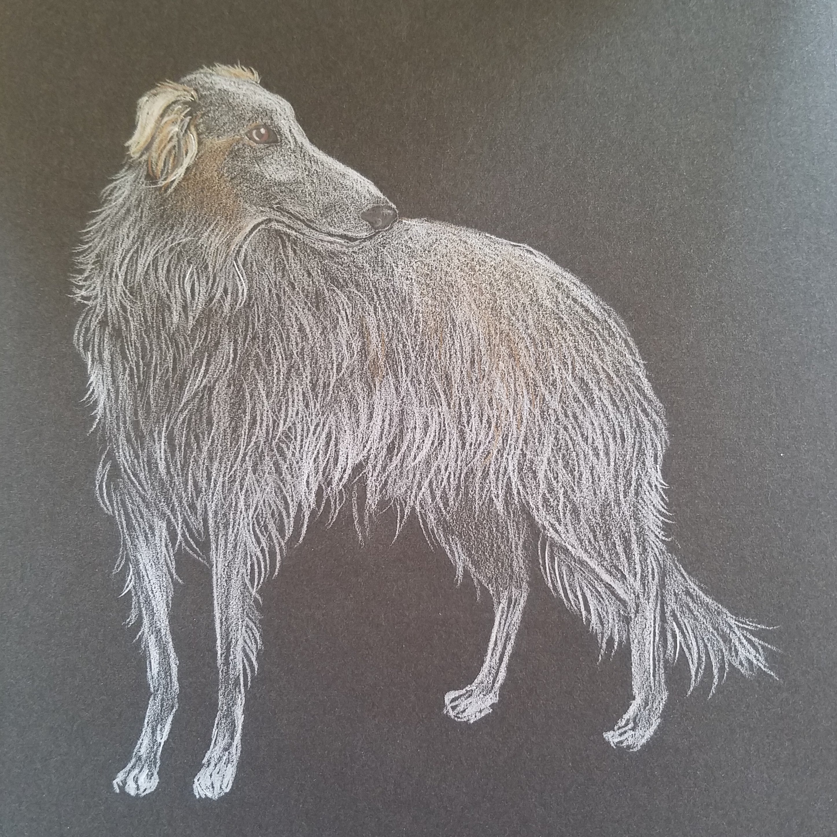 Ryoko 絵を描く人 フォロバ100 変な人は ペットの似顔絵オーダーから野生動物や野鳥等 動物メインに描いています お絵かき 色鉛筆画 チョークアート サモエド ボルゾイ イラスト好きな人と繋がりたい イラスト好きさんと繋がりたい