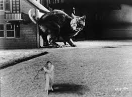 merlinpapin3's tweet photo. Année 1957, l’années des grandes espérances, Voici mon #Top30 des #FilmsAnnée1957
28 - #LHommequiRetrecit de #JackArnold avec #RandyStuart #AprilHyde #PaulLangton #WilliamSchaellert #RaymonBailley #BillieCurtis #DianaDarrin
@Jouxplane83 @FredOL69007 @tbarnaud https://t.co/ZgzPt1WdOJ