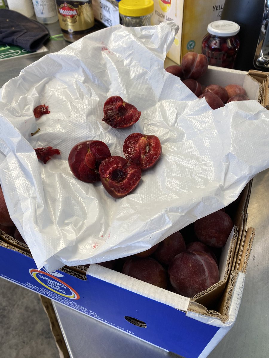 Grace Aicken (@grace_aicken) on Twitter photo Fruit fly has made its way to Bendigo backyards with recent rain and warm weather creating ideal breeding conditions.
We’ll have all the details tonight at 6pm.
Ch 8 & 80(HD) | #WINNews6pm
#SaveOurVoices <a href="/saveourvoices/">Save Our Voices</a>
<a href="/BgoFoodshare/">Bendigo Foodshare</a> Fruit fly has made its way to Bendigo backyards with recent rain and warm weather creating ideal breeding conditions.
We’ll have all the details tonight at 6pm.
Ch 8 & 80(HD) | #WINNews6pm
#SaveOurVoices <a href="/saveourvoices/">Save Our Voices</a>
<a href="/BgoFoodshare/">Bendigo Foodshare</a>