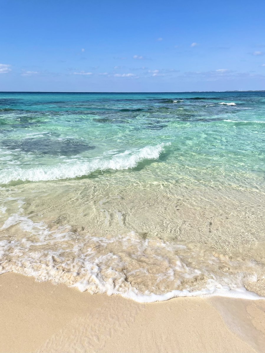 Appi🌈 tweet media