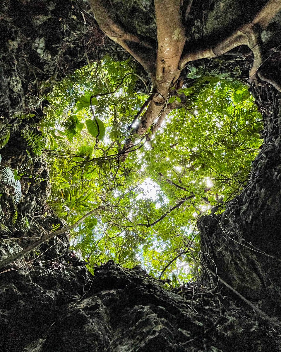 Appi🌈 tweet media