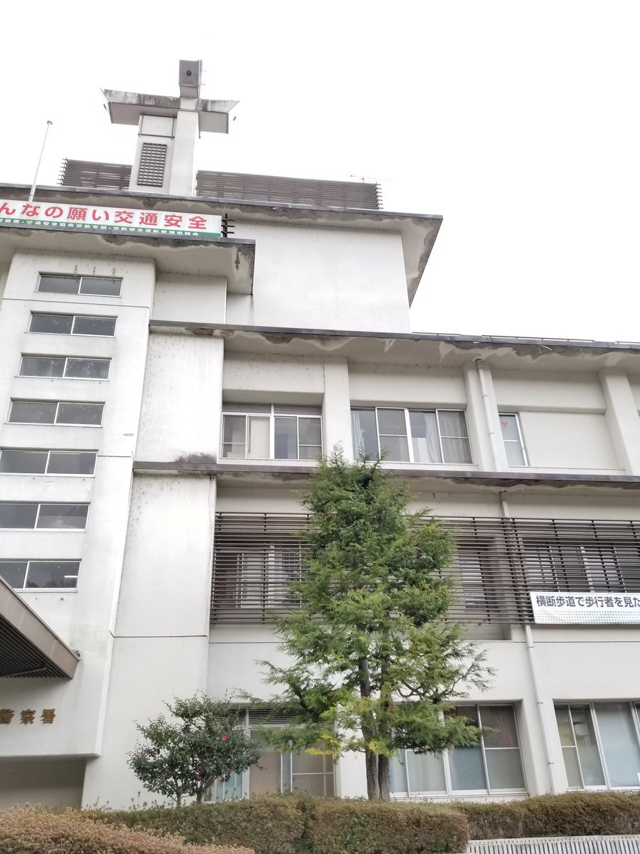 免許証更新に来て、整理券配布を待ってます。お巡りさんに｢ハガキ見せてください。失礼ですが高齢者の方ですか？｣って。えっ😍⤴️⤴️そう見える⁉️やだあ‼️❤️もっとアイメイクしてくればよかった(笑)