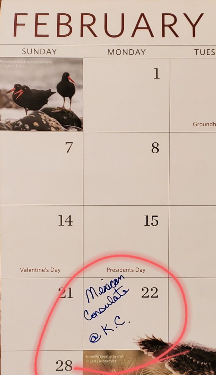 SookieRC's tweet photo. We mailed in our visa applications three weeks ago and we already have an appointment for our in-person interview.  #MovingtoMexico #Thisisreallyhappening https://t.co/v9YD6w8ypT