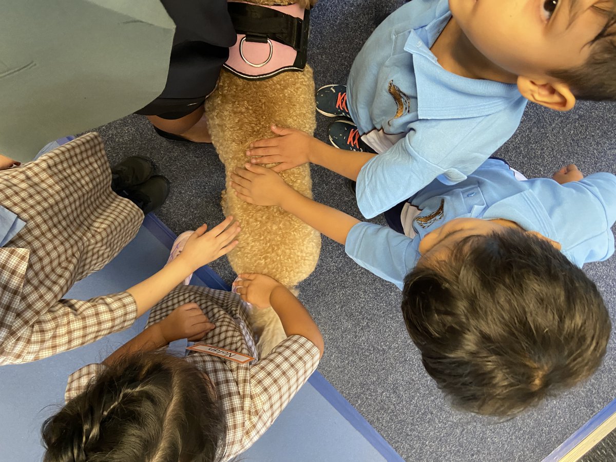 LansvaleEast's tweet photo. Our KN class was able to meet Sade our school Therapy dog today and share some playtime. #LoveWhereYouLearn @NSWEducation #DogsofDoE https://t.co/xuJL3A1esQ