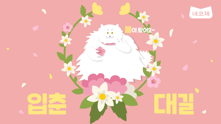 2월3일 오늘은 봄이 시작되는
#입춘 입니당🌱

🌸감기조심하세요🌸

#네코제 #입춘 #봄