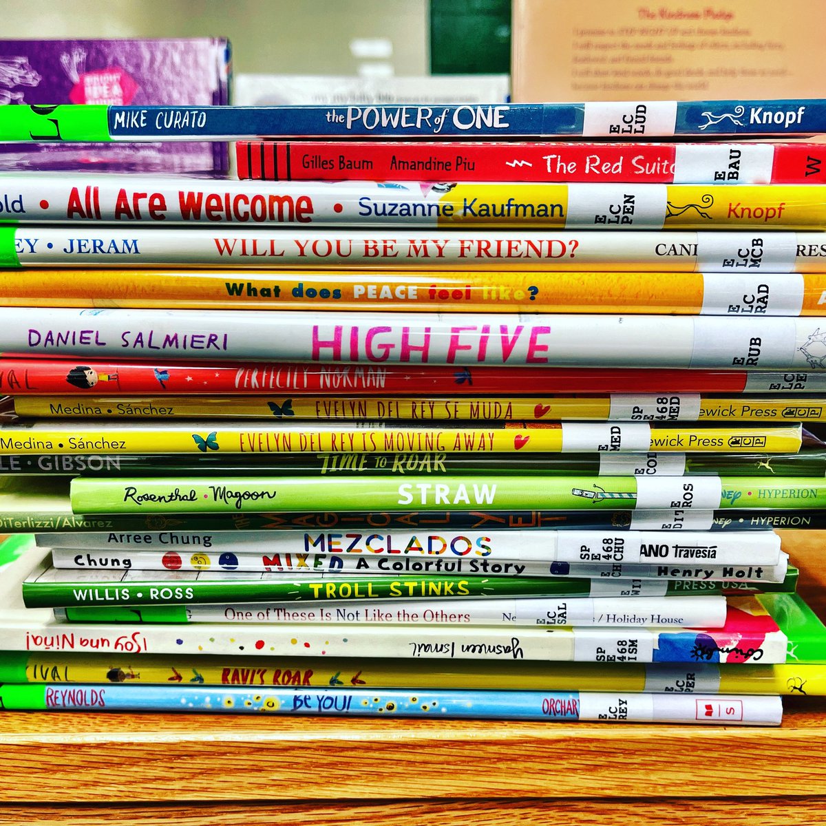 RivetingReads's tweet photo. Check our new SEL additions! You can see all of this year’s books under “New SEL Additions 2020-2021” in our Cole Destiny Discover collection. #SELreads #theColeWay @NISDCole @NISDLib https://t.co/7x9ApeOJKd