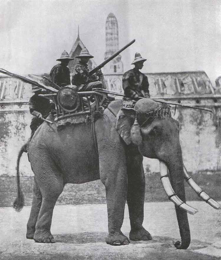 #OnThisDay 1862 US President Abraham Lincoln graciously declined the King of Siam's offer of war elephants, explaining that the geography &amp; climate of the United States do not "favor the multiplication of the elephant."
(Not Irish military history, but still, pretty interesting).