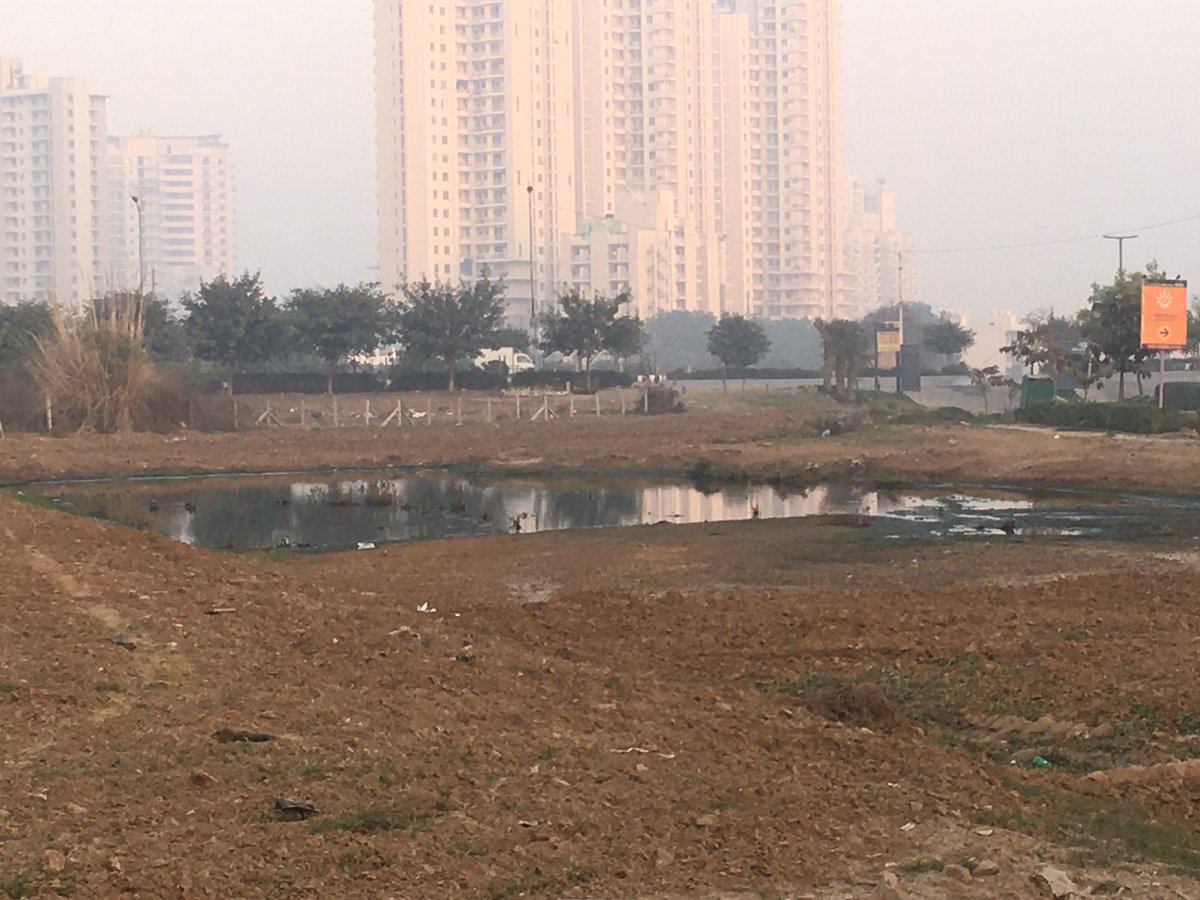 YasheshYadav's tweet photo. एक ओर डम्पिंगयार्ड बनने की ओर अग्रसर, Sector-83 वाटिका में?
@enviro_india संज्ञान लीजिए कही ऐसा ना हो #Sector84 की तरह बाद में इसे भी कंट्रोल करना मुस्किल हो जाए
सुबह की सैर के समय बदबू आने लगी है
Loc.-
https://t.co/1NHZDm0zRj
CC:
@DC_Gurugram @OfficialGMDA @MunCorpGurugram https://t.co/5MSbnrqppi