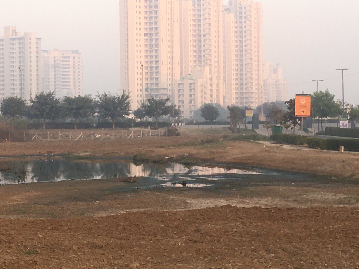 YasheshYadav's tweet photo. एक ओर डम्पिंगयार्ड बनने की ओर अग्रसर, Sector-83 वाटिका में?
@enviro_india संज्ञान लीजिए कही ऐसा ना हो #Sector84 की तरह बाद में इसे भी कंट्रोल करना मुस्किल हो जाए
सुबह की सैर के समय बदबू आने लगी है
Loc.-
https://t.co/1NHZDm0zRj
CC:
@DC_Gurugram @OfficialGMDA @MunCorpGurugram https://t.co/5MSbnrqppi