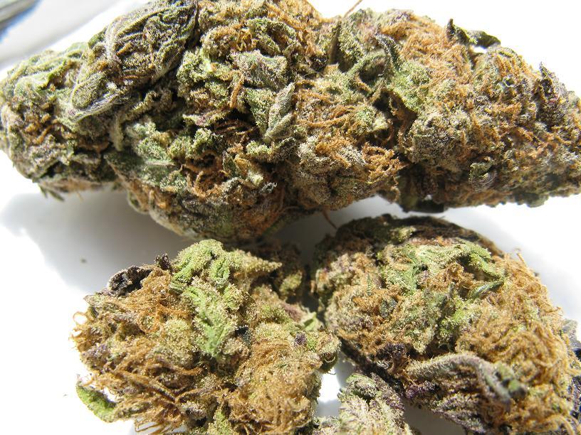 fraank_woodd08's tweet photo. 🌿🌿bongs and pipes to smoke all night🌿🌿
#CannabisCommunity #cannabislegal
#marijuanaseedsman #skunk 
#beststrains #cannabinoids https://t.co/8vrvPMbffi