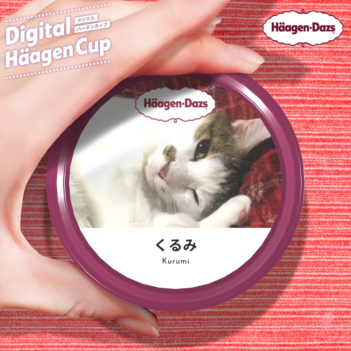 ゆき@日常ฅ^ΦωΦ^ฅﾆｬｰ tweet media