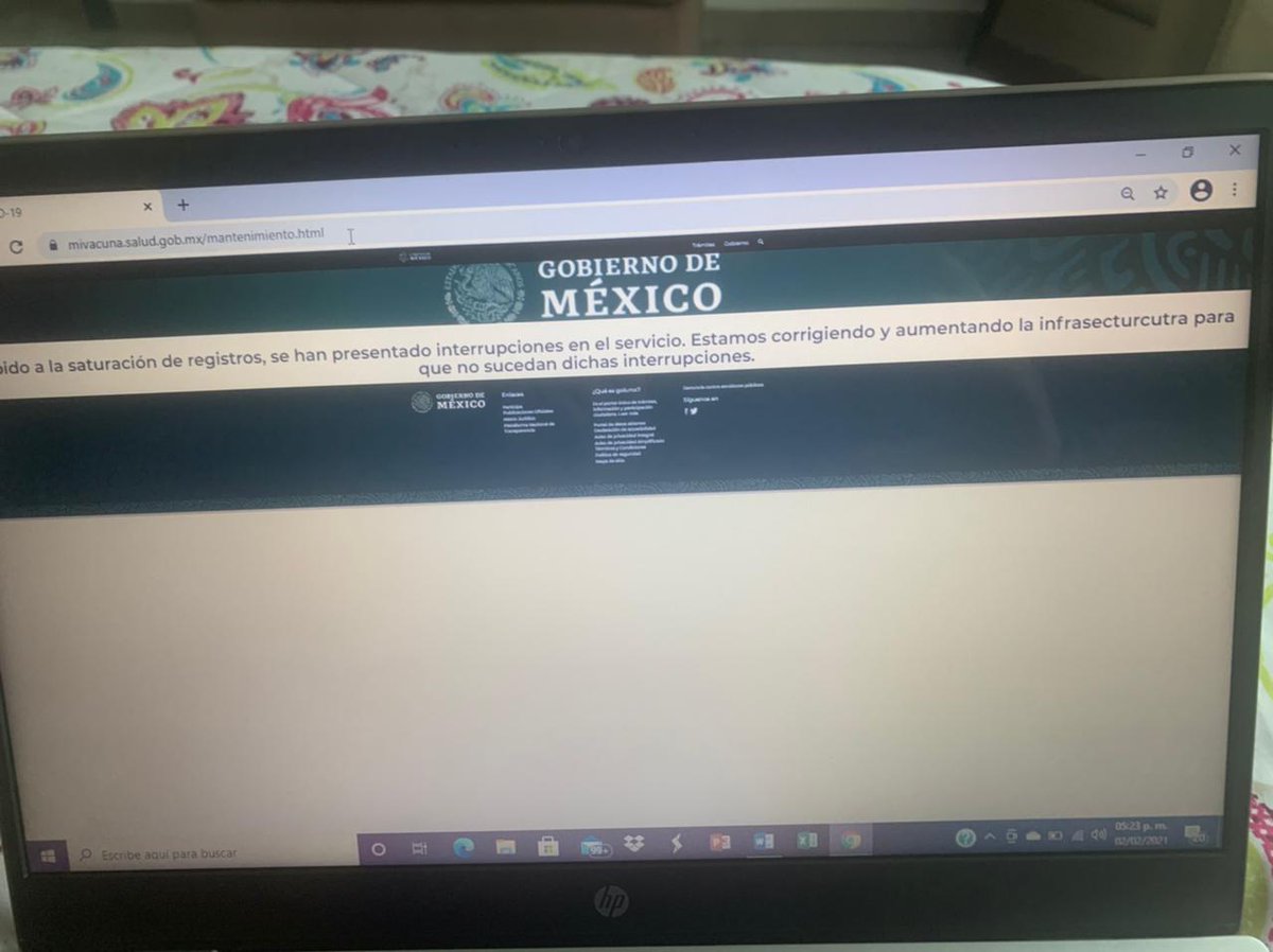 Irma Flores Mena tweet media