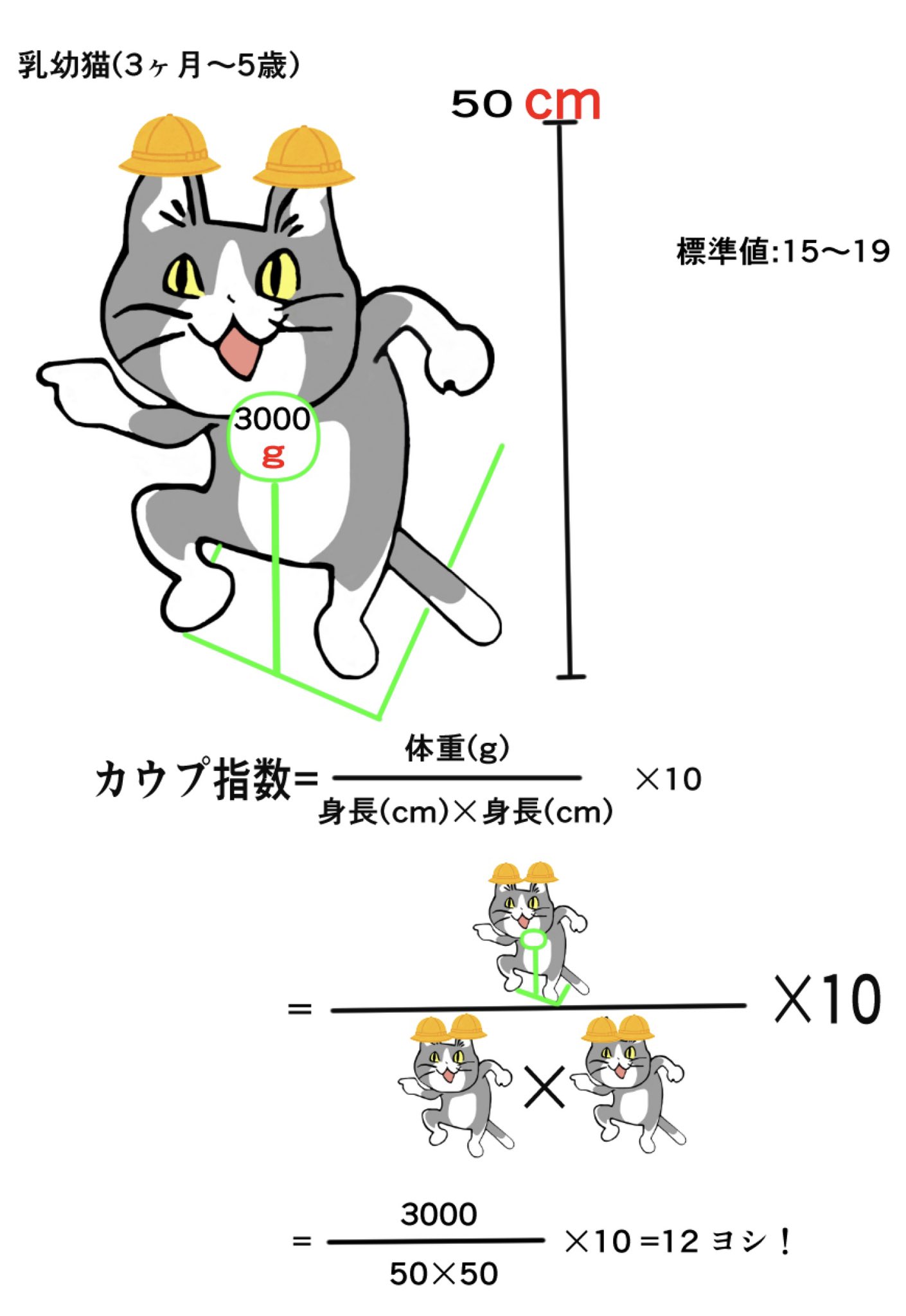 カウプ指数 Twitter Search Twitter