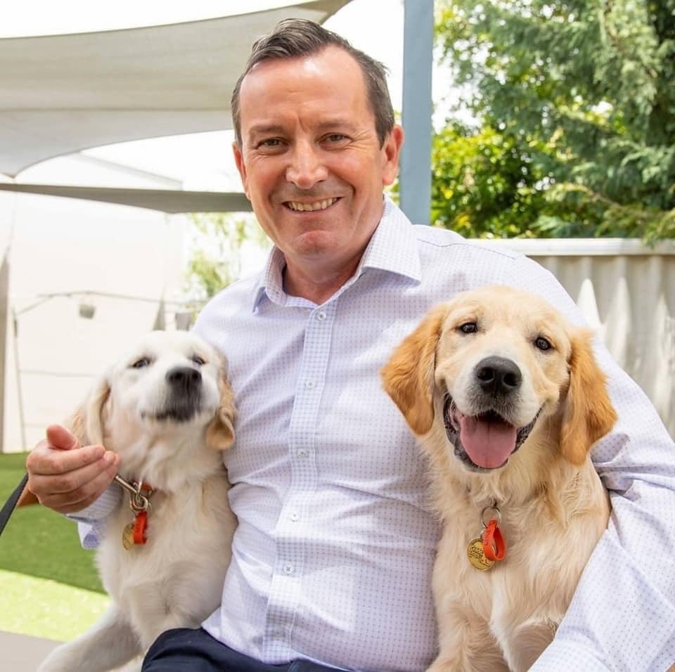 GemmaMWhiting's tweet photo. @evmulholland @MarkMcGowanMP Yeah but @evmulholland have you seen this photo of @MarkMcGowanMP! There has never been a better photo (unless there's one with 3 puppies?) This is the only campaign material I wanna see. #puppies https://t.co/jaBi6I1enq