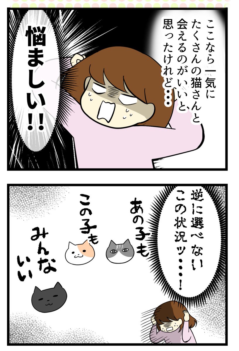 猫探し編⑦-猫面会中のハプニング #漫画が読めるハッシュタグ #保護猫さんと暮らす #猫のいる生活

すごい勢いで猫さんが飛び出してきた! 