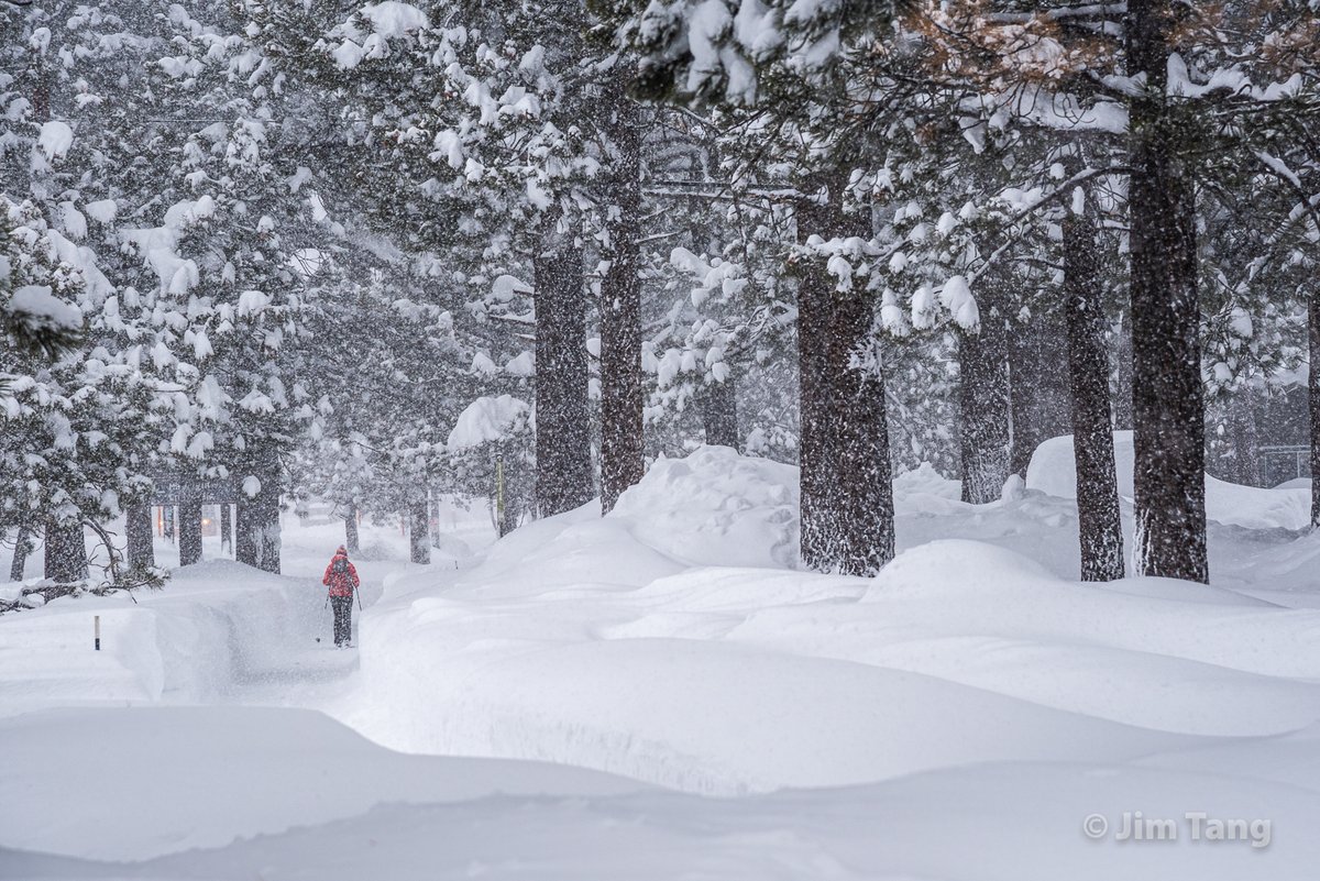 I thought the snow would decrease in intensity Thursday but it hardly let up. The wind picked up as well. This all became a surreal scene as the snow was *really* starting to pile up creating a tunnel effect on sidewalks. 4/8