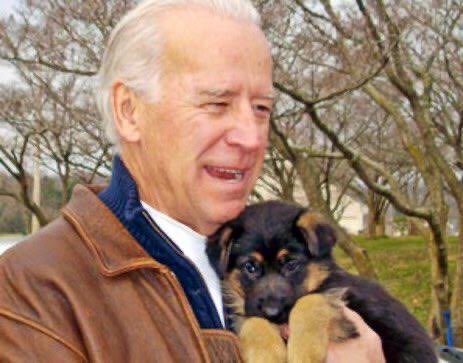 TheOvalPawffice's tweet photo. 🐾 Before my dad @POTUS tucks me in for the night, I’d like to remind you that even though one of my nicknames is “Biden Sr.” as I’m the older doggo, I am very much still a puppy at heart. This is still me on the inside, and I still love my parents just like on day one. - Champ https://t.co/uA9XO2MpJh