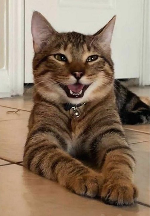 tinygyul's tweet image. its him &amp;lt;3 #한결 #HANGYUL