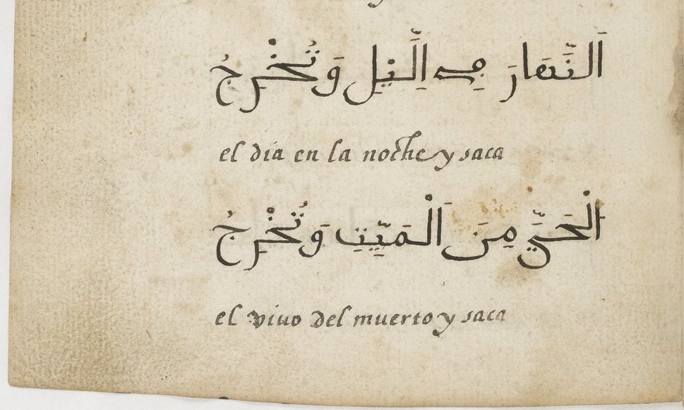 Regardless, it is clearly a work of personal devotion, with beautiful Arabic and Latin handwriting, and clear signs of use; one can imagine the disruptions and loneliness that Ybrahim must have felt as a Spanish-speaking Muslim in a city where as yet the language was rare
