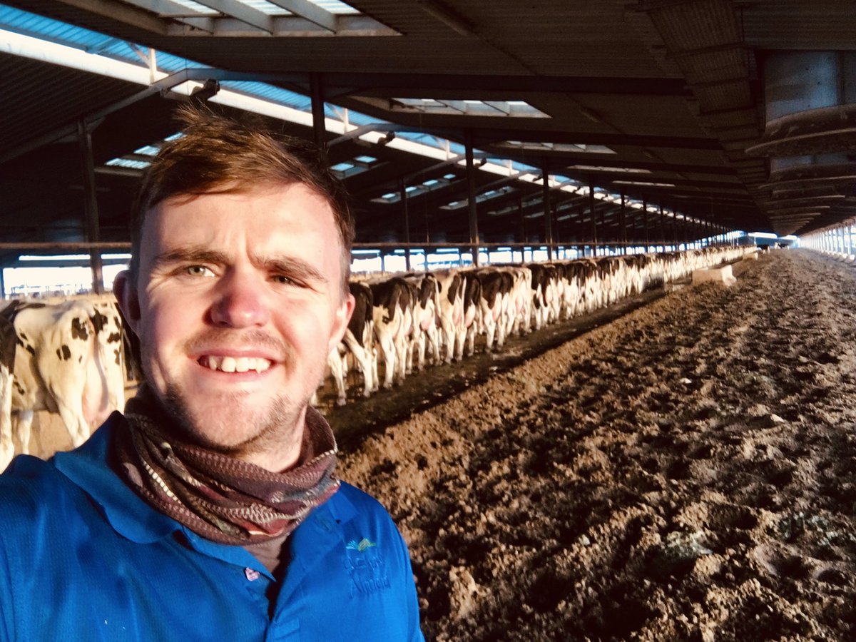 Rupert_Sheppard's tweet photo. This mornings office 🐄 Thrilled to be runner up Young Dairy Vet of the Year in the Cream awards 2021 https://t.co/n5yWXvmeob Congrats to all the winners 🎉 #creamawards @dairyawards @britishdairying #teamdairy @ProStockVets https://t.co/xCbuok9lbY