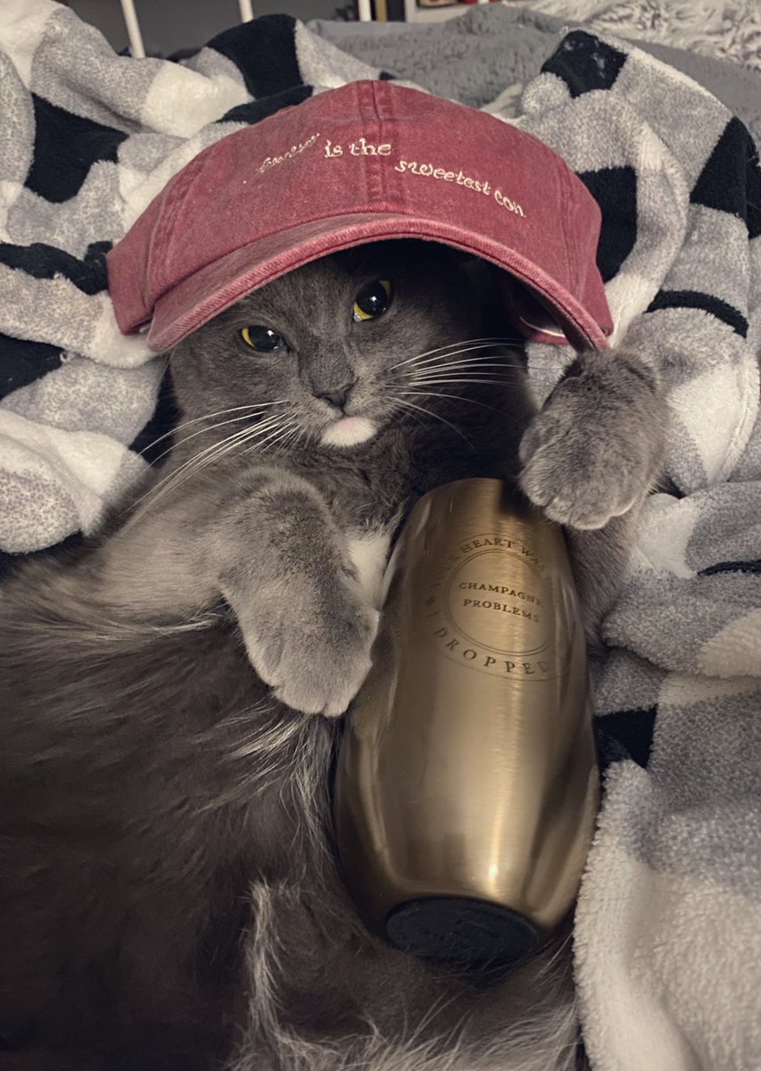 tolerateit13's tweet image. Merch arrived today!! Spaghetti is the perfect model. Taylor Swift hats for cats should be a thing, don’t you think, @taylornation13? #evermorealbum #champagneproblems #cowboylikeme