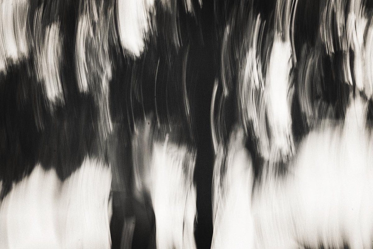 rocketvows's tweet image. Dancing stills