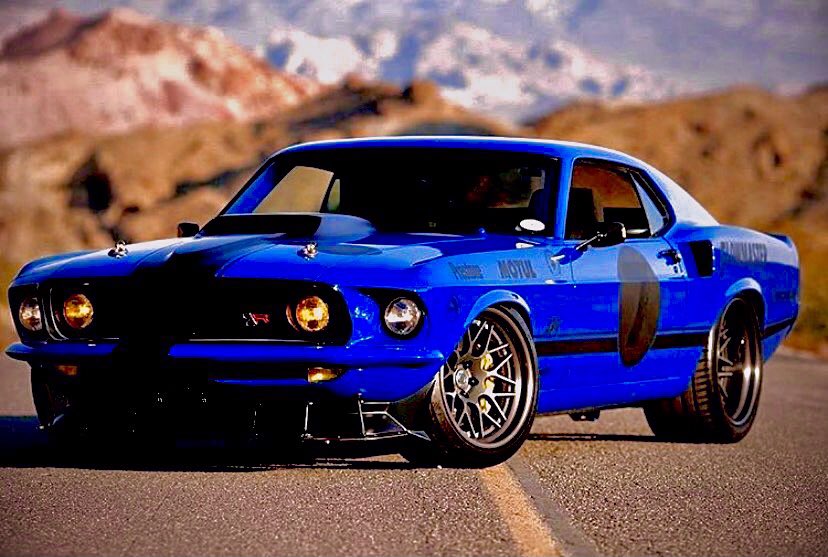SVT_Cobras tweet picture