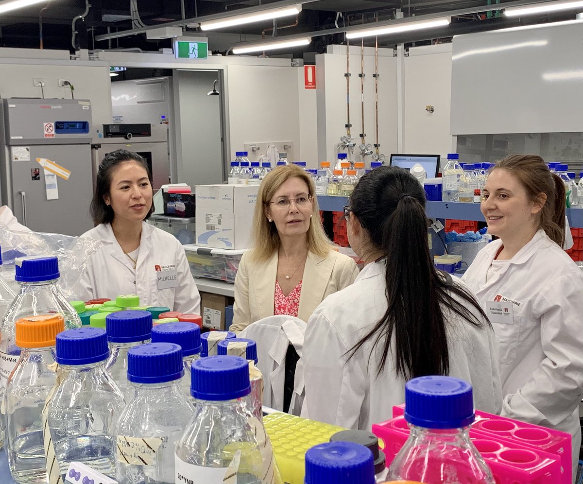 The Hon Gabrielle Upton (@gabrielleupton) on Twitter photo So encouraging to see these amazing young women 💪🏼 scientists in action at <a href="/Macquarie_Uni/">Macquarie University</a>. They filled me in on the good things happening at the Synthetic Biology Biofoundry. 👏#innovation So encouraging to see these amazing young women 💪🏼 scientists in action at <a href="/Macquarie_Uni/">Macquarie University</a>. They filled me in on the good things happening at the Synthetic Biology Biofoundry. 👏#innovation