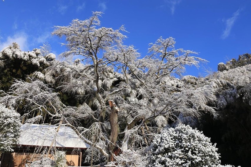 写真で楽しむ郡山 いつか行きたい 素敵スポット Vol 140 Repost Tnkftjさん Instagram 雪景色雪村 21 02 03 郡山市観光協会 ぐるっと郡山 写真で楽しむ郡山 いつか行きたい 素敵スポット Vol 140 Repost Tnkftjさん Instagram 雪景色雪村 21 02 03 郡山市観光協会 ぐるっと郡山