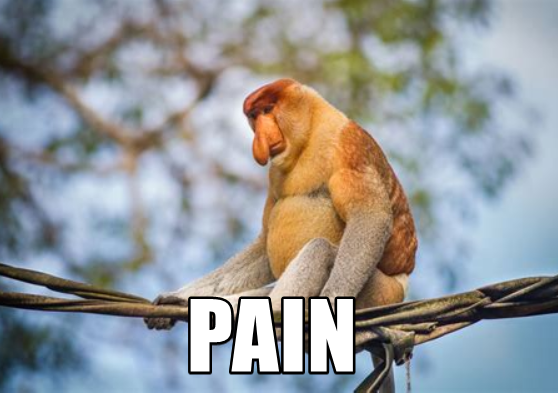 monkepog tweet picture