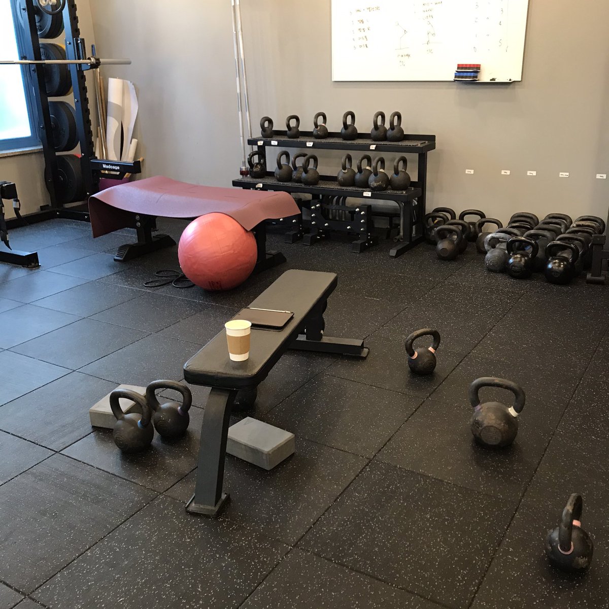 dalcom_chapssal's tweet image. 16kg 원암스윙과의 짜릿한 첫 만남•••💕💪🏼 6주 쉬고와서 그런지 2시간이 너무너무너무 빠르게 지나간다. 마무리는 베리보세요🐶