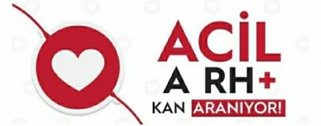 Ankara Bayındır Hastanesi'nde tedavi görmekte olan bir hasta için acil A Rh (+) Pozitif kana ihtiyaç vardır.

Hasta yakını Telefon : 0542 278 4720

<a href="/_KAN_ARANIYOR/">KAN ARANIYOR</a> <a href="/AcilKanDuyuru/">🅰️ Acil Kan</a> <a href="/KanAranyor/">Kan Aranıyor</a>