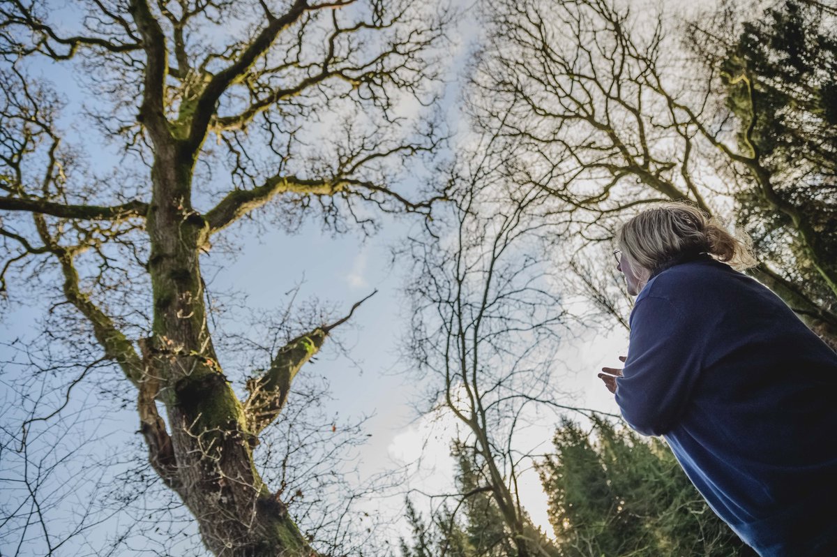 Neil Harrison Photography tweet media