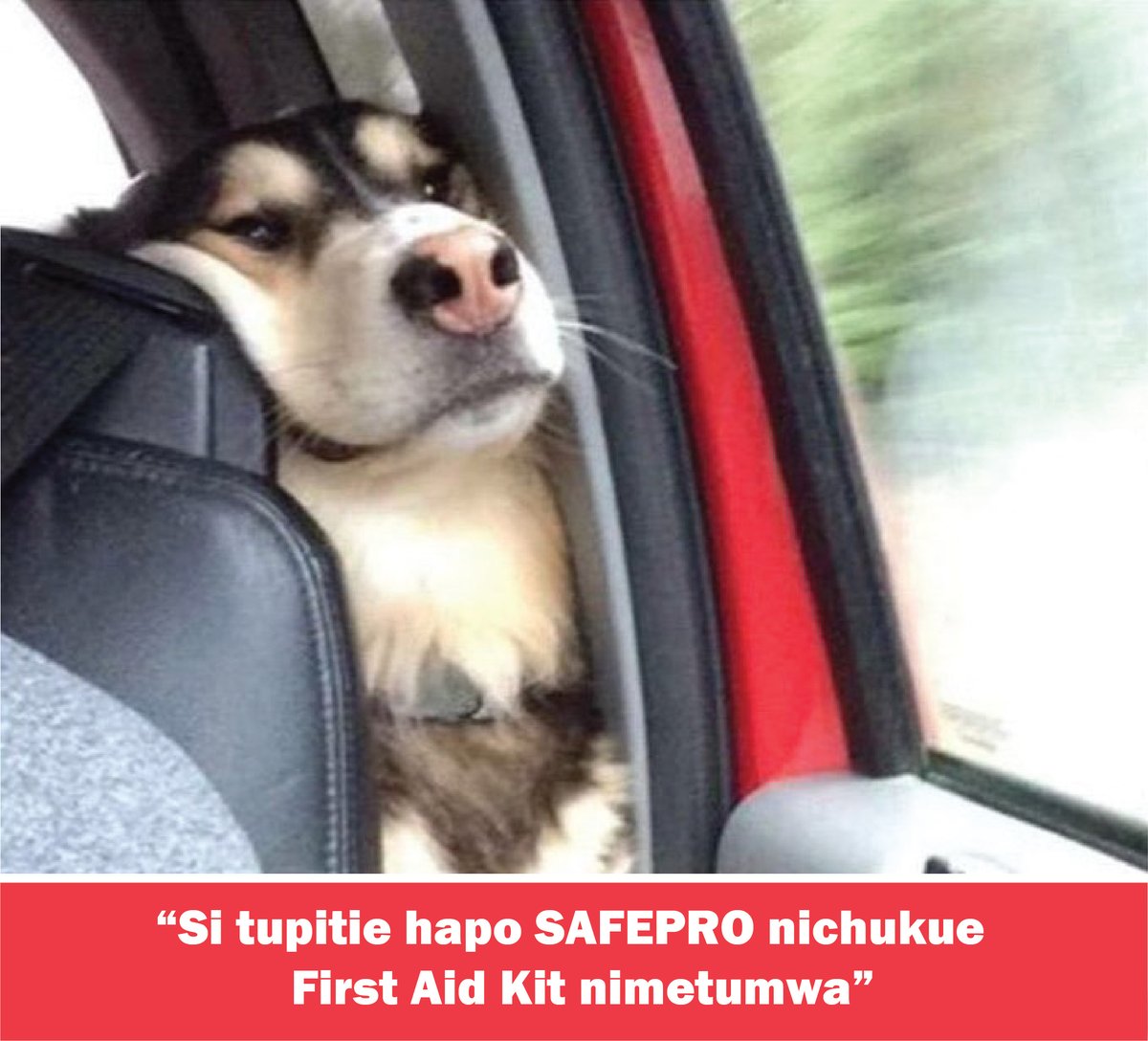 safepro_info's tweet image. me to my kidnappers...