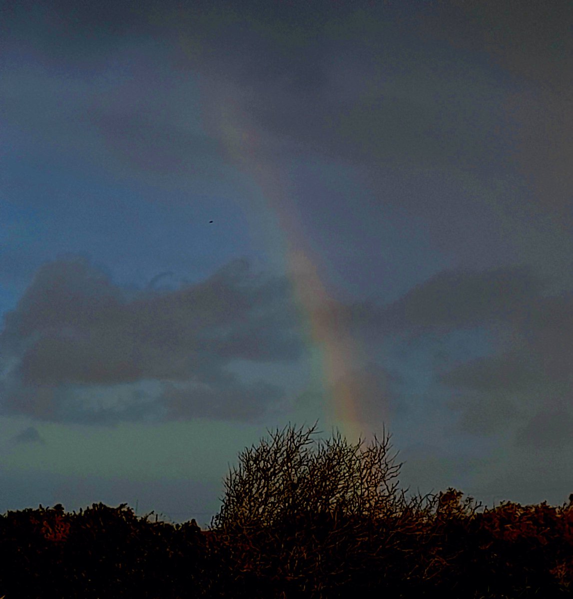 gnome_alice's tweet photo. This morning's walk.
#StJust #Tregeseal #NoGoBy and back
Across the churchyard wall
Footpath appears to lead directly to cottage where my mother lived,80-odd years ago, it does not.
Thorn throws insipid attempt at a rainbow skyward.
Roller, chapel and church.
#Lannust
#Kernow https://t.co/npVVxMJG2z