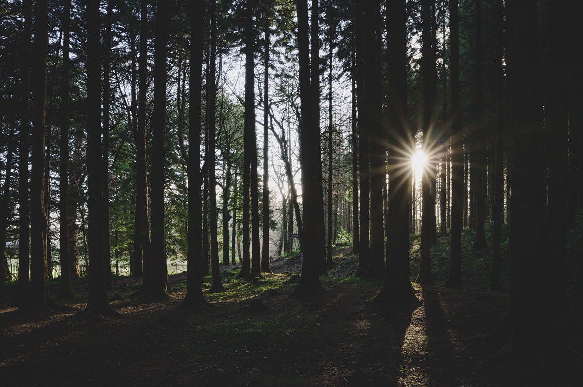 Neil Harrison Photography tweet media